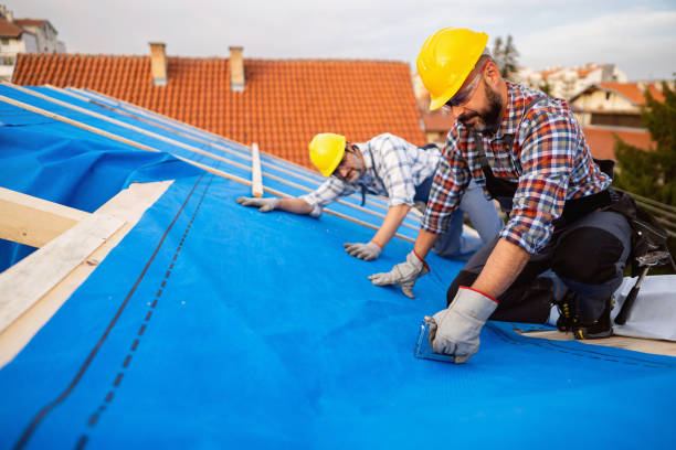 Best Roof Gutter Cleaning  in Tangent, OR